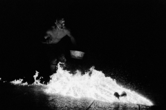 1998 11 edició LA SALAMANDRE. Le feu. França neg.20